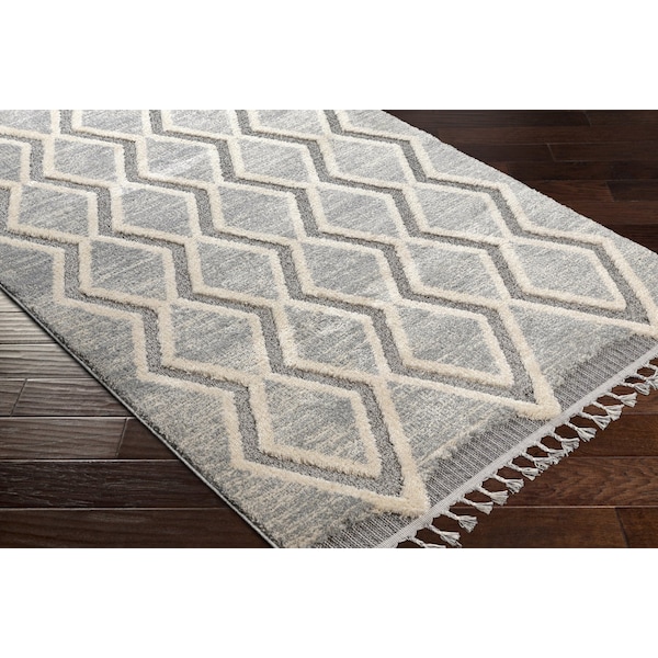 Sousse SUS-2301 Area Rug , With Fringe